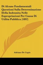 Di Alcune Fondamentali Questioni Sulla Determinazione Della Indennita Nelle Espropriazioni Per Causa Di Utilita Pubblica (1892)