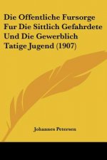 Die Offentliche Fursorge Fur Die Sittlich Gefahrdete Und Die Gewerblich Tatige Jugend (1907)