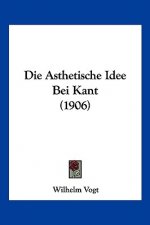 Die Asthetische Idee Bei Kant (1906)