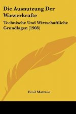 Die Ausnutzung Der Wasserkrafte: Technische Und Wirtschaftliche Grundlagen (1908)