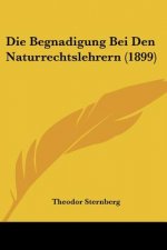Die Begnadigung Bei Den Naturrechtslehrern (1899)