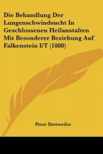 Die Behandlung Der Lungenschwindsucht In Geschlossenen Heilanstalten Mit Besonderer Beziehung Auf Falkenstein I/T (1880)
