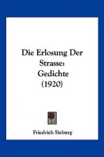 Die Erlosung Der Strasse: Gedichte (1920)