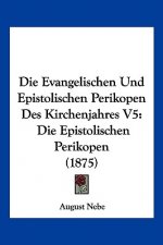 Die Evangelischen Und Epistolischen Perikopen Des Kirchenjahres V5: Die Epistolischen Perikopen (1875)