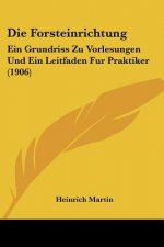 Die Forsteinrichtung: Ein Grundriss Zu Vorlesungen Und Ein Leitfaden Fur Praktiker (1906)
