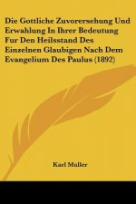 Die Gottliche Zuvorersehung Und Erwahlung In Ihrer Bedeutung Fur Den Heilsstand Des Einzelnen Glaubigen Nach Dem Evangelium Des Paulus (1892)