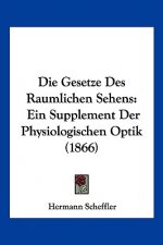 Die Gesetze Des Raumlichen Sehens: Ein Supplement Der Physiologischen Optik (1866)