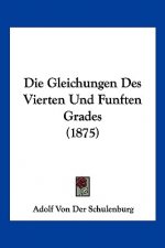 Die Gleichungen Des Vierten Und Funften Grades (1875)