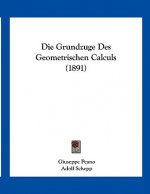 Die Grundzuge Des Geometrischen Calculs (1891)
