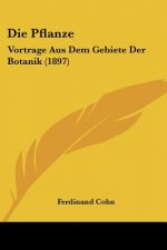 Die Pflanze: Vortrage Aus Dem Gebiete Der Botanik (1897)