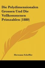 Die Polydimensionalen Grossen Und Die Vollkommenen Primzahlen (1880)
