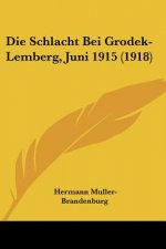 Die Schlacht Bei Grodek-Lemberg, Juni 1915 (1918)