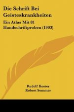 Die Schrift Bei Geisteskrankheiten: Ein Atlas Mit 81 Handschriftproben (1903)