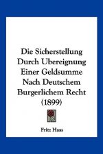 Die Sicherstellung Durch Ubereignung Einer Geldsumme Nach Deutschem Burgerlichem Recht (1899)