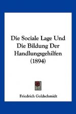 Die Sociale Lage Und Die Bildung Der Handlungsgehilfen (1894)