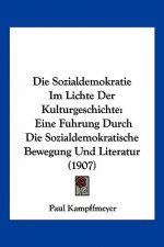 Die Sozialdemokratie Im Lichte Der Kulturgeschichte: Eine Fuhrung Durch Die Sozialdemokratische Bewegung Und Literatur (1907)