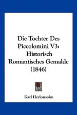 Die Tochter Des Piccolomini V3: Historisch Romantisches Gemalde (1846)