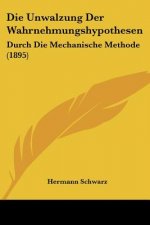 Die Unwalzung Der Wahrnehmungshypothesen: Durch Die Mechanische Methode (1895)