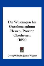Die Wustungen Im Grossherzogthum Hessen, Provinz Oberhessen (1854)