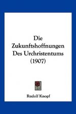 Die Zukunftshoffnungen Des Urchristentums (1907)