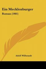 Ein Mecklenburger: Roman (1901)