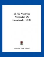 El Rio Valdivia: Necesidad De Canalizarlo (1886)