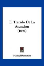 El Tratado De La Asuncion (1894)