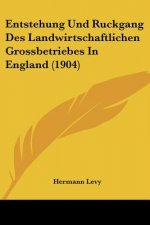 Entstehung Und Ruckgang Des Landwirtschaftlichen Grossbetriebes in England (1904)