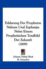 Erklarung Der Propheten Nahum Und Zephanja: Nebst Einem Prophetischen Totalbild Der Zukunft (1899)