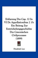 Erklarung Des Cap. 12 In VI De Appellationibus 2 15: Ein Beitrag Zur Entwickelungsgeschichte Des Canonischen Civilprocesses (1899)