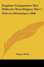 Esquisse Comparative Des Dialectes Neoceltiques, Part 1: Dialectes Britanniques (1868)
