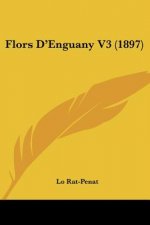 Flors D'Enguany V3 (1897)