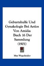 Geburtshulfe Und Gynakologie Bei Aetios Von Amida: Buch 16 Der Sammlung (1901)