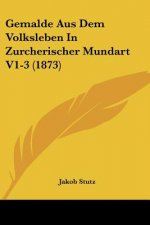 Gemalde Aus Dem Volksleben In Zurcherischer Mundart V1-3 (1873)