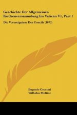 Geschichte Der Allgemeinen Kirchenversammlung Im Vatican V1, Part 1: Die Vorereignisse Des Concils (1873)