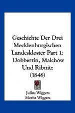 Geschichte Der Drei Mecklenburgischen Landeskloster Part 1: Dobbertin, Malchow Und Ribnitz (1848)