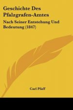 Geschichte Des Pfalzgrafen-Amtes: Nach Seiner Entstehung Und Bedeutung (1847)