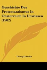 Geschichte Des Protestantismus in Oesterreich in Umrissen (1902)
