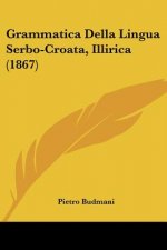 Grammatica Della Lingua Serbo-Croata, Illirica (1867)