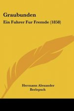 Graubunden: Ein Fuhrer Fur Fremde (1858)