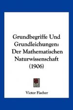 Grundbegriffe Und Grundleichungen: Der Mathematischen Naturwissenschaft (1906)