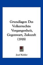 Grundlagen Des Volkerrechts: Vergangenheit, Gegenwart, Zukunft (1918)
