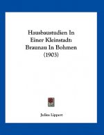 Hausbaustudien In Einer Kleinstadt: Braunau In Bohmen (1903)