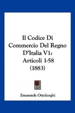 Il Codice Di Commercio Del Regno D'Italia V1: Articoli 1-58 (1883)