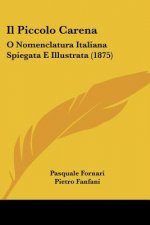 Il Piccolo Carena: O Nomenclatura Italiana Spiegata E Illustrata (1875)