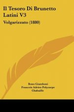 Il Tesoro Di Brunetto Latini V3: Volgarizzato (1880)