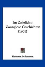 Im Zwielicht: Zwanglose Geschichten (1901)
