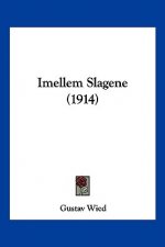 Imellem Slagene (1914)