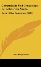 Geburtshulfe Und Gynakologie Bei Aetios Von Amida: Buch 16 Der Sammlung (1901)