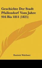 Geschichte Der Stadt Pfullendorf Vom Jahre 916 Bis 1811 (1825)
